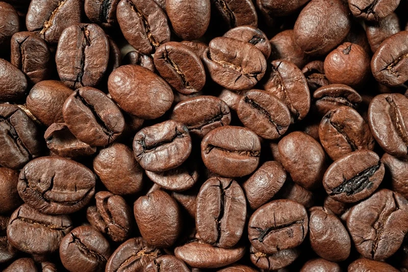Robusta Coffee
