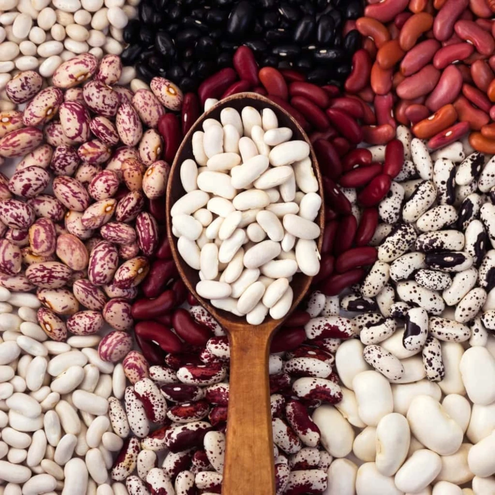 Sugar Beans