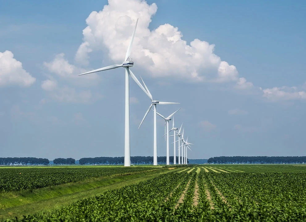 PETROLEUM AND GREEN ENERGY